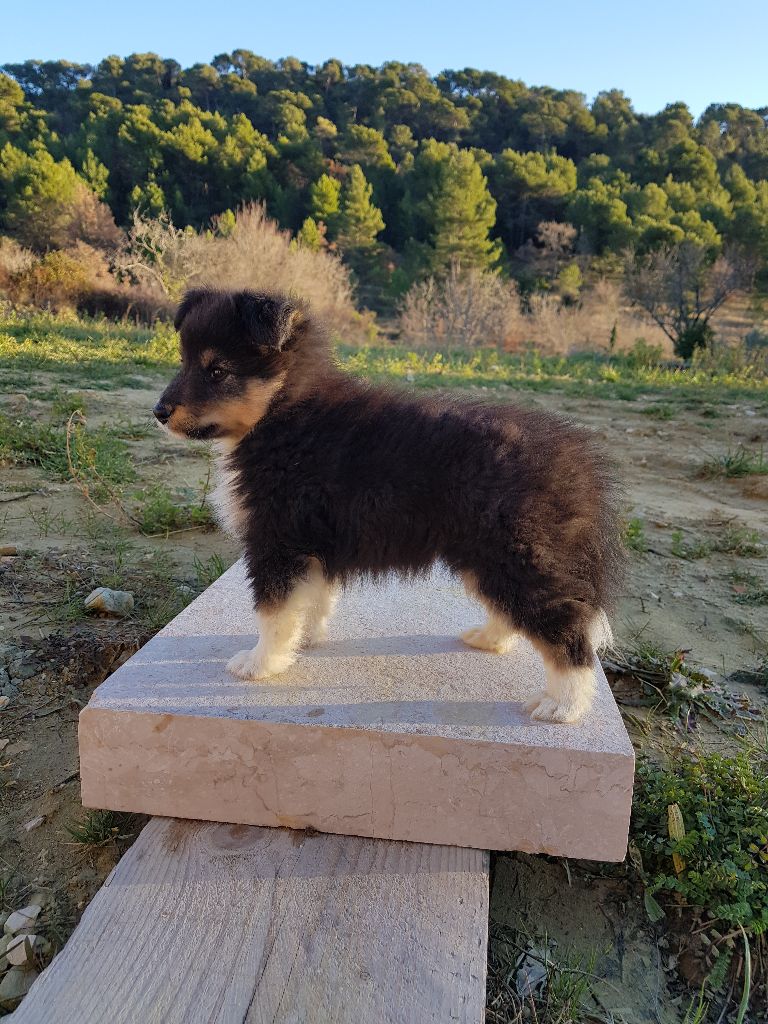 Poupie la princesse Du Petit Berger Sympa