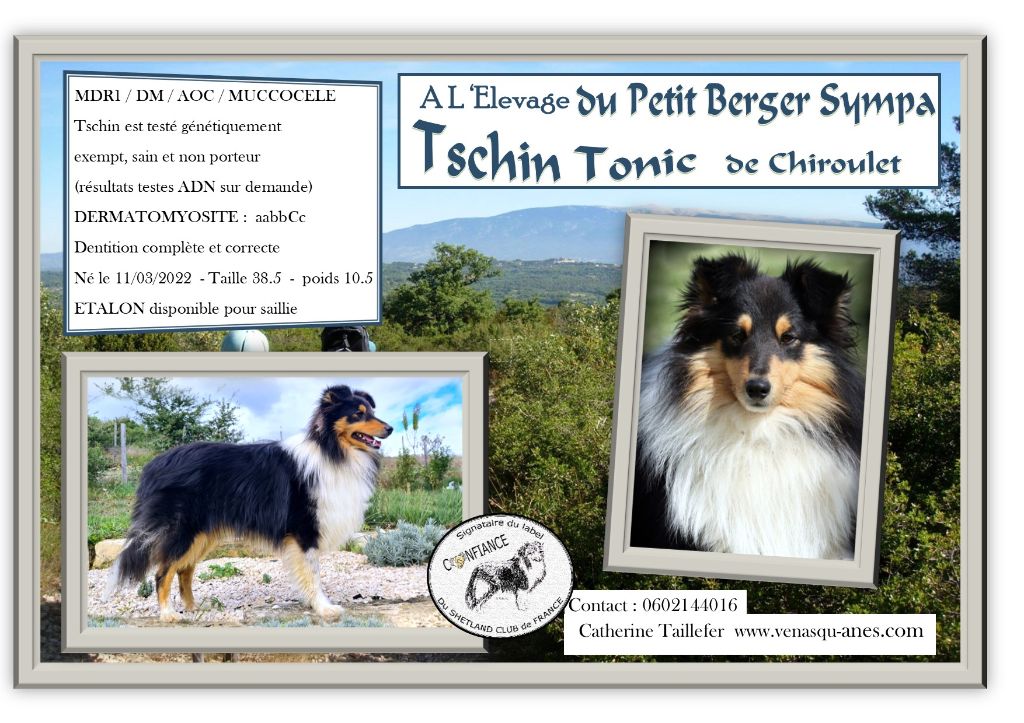 Tschin-tonic de chiroulet De chiroulet