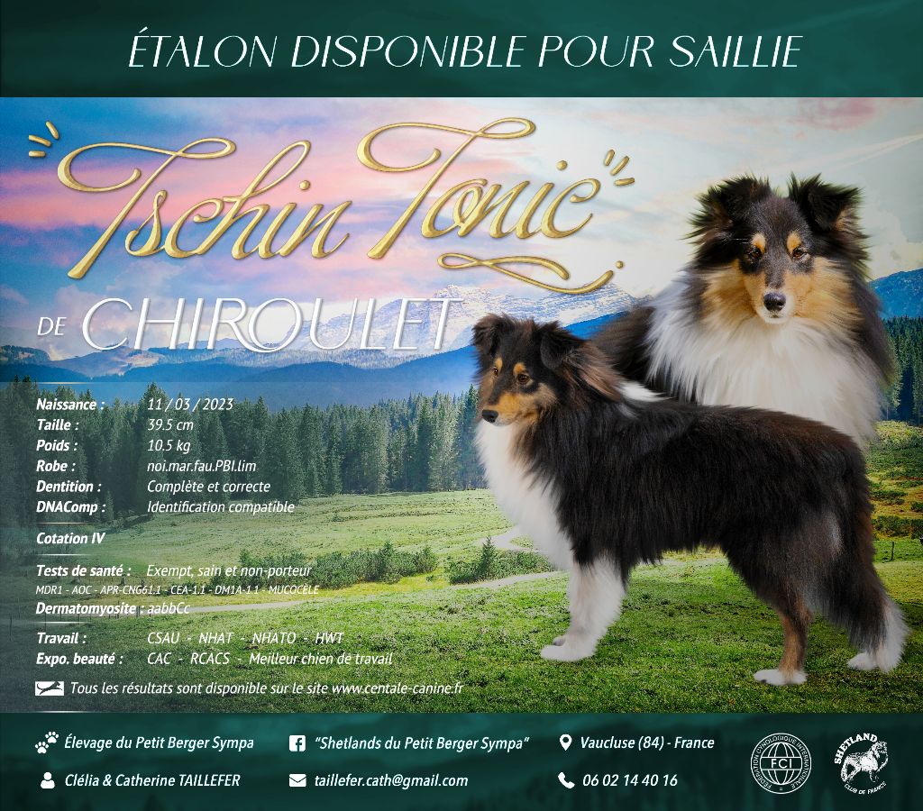 Tschin-tonic De chiroulet